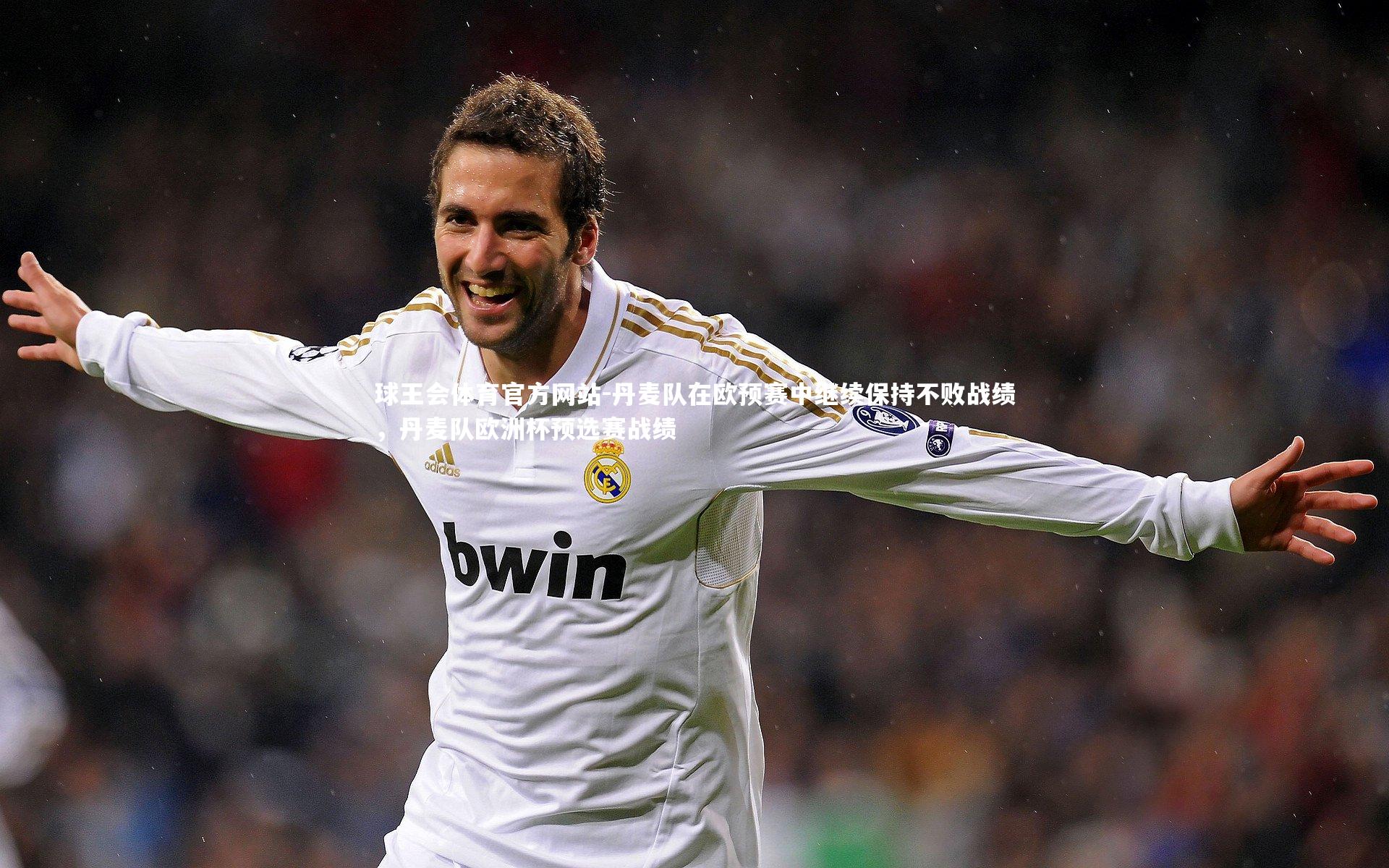 球王会体育官方网站-丹麦队在欧预赛中继续保持不败战绩，丹麦队欧洲杯预选赛战绩